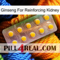 Ginseng For Reinforcing Kidney new11